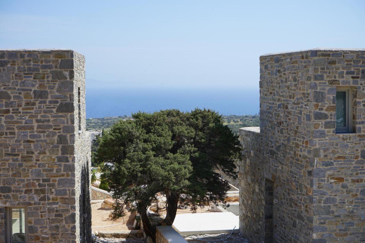 Paros-Memories-Neubau-Villen, Sportpool Aspro Chorio Exteriér fotografie